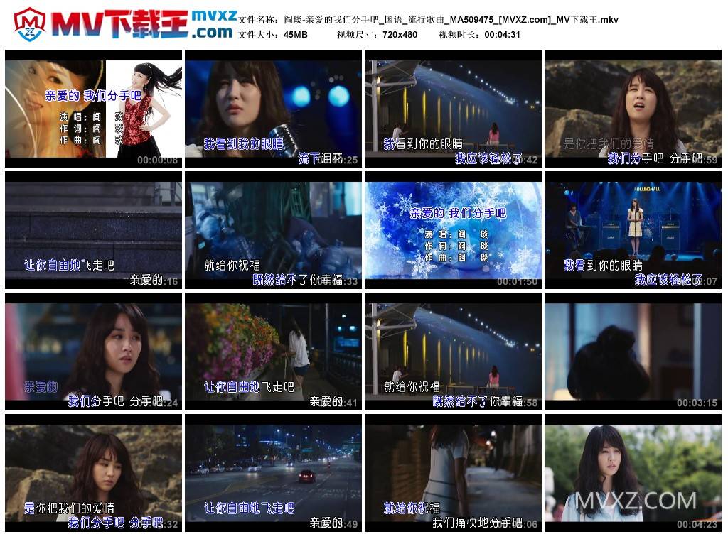 阎琰-亲爱的我们分手吧_国语_流行歌曲_MA509475